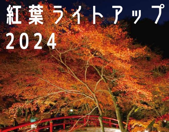 紅葉ライトアップ2024