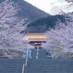伊香保温泉周辺 わくわくの桜の名所７選