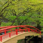 伊香保河鹿橋 新緑ライトアップ5/12~6/14