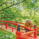 伊香保河鹿橋 新緑ライトアップ5/12~6/14